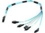 0067007_70cm-ipass-to-4-sata-w-sideband-cable